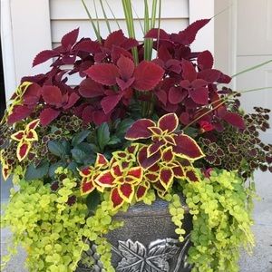 Meet your Posher, Eve